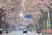 梅州共建“花园城市” 北京这场议政会“百花齐放”