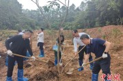 梅州广州已打造首批32处“绿美宗教活动场所”