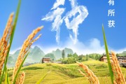梅州芒种节气小知识来了 夏种作物都有什么？