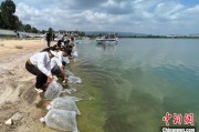 梅州云南江川举行增殖放流活动 逾54万尾鱼游入星云湖